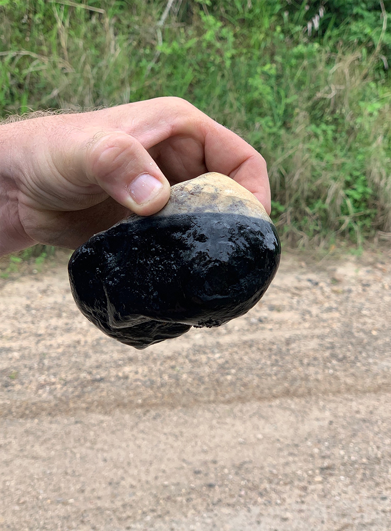 Toxic chemicals coated rocks, plants and animals in Skull Creek during the 2019 contamination of the tributary of the Colorado River.